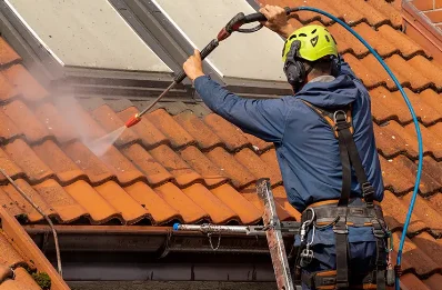 Démoussage et hydrofuge de toiture à Lucinges